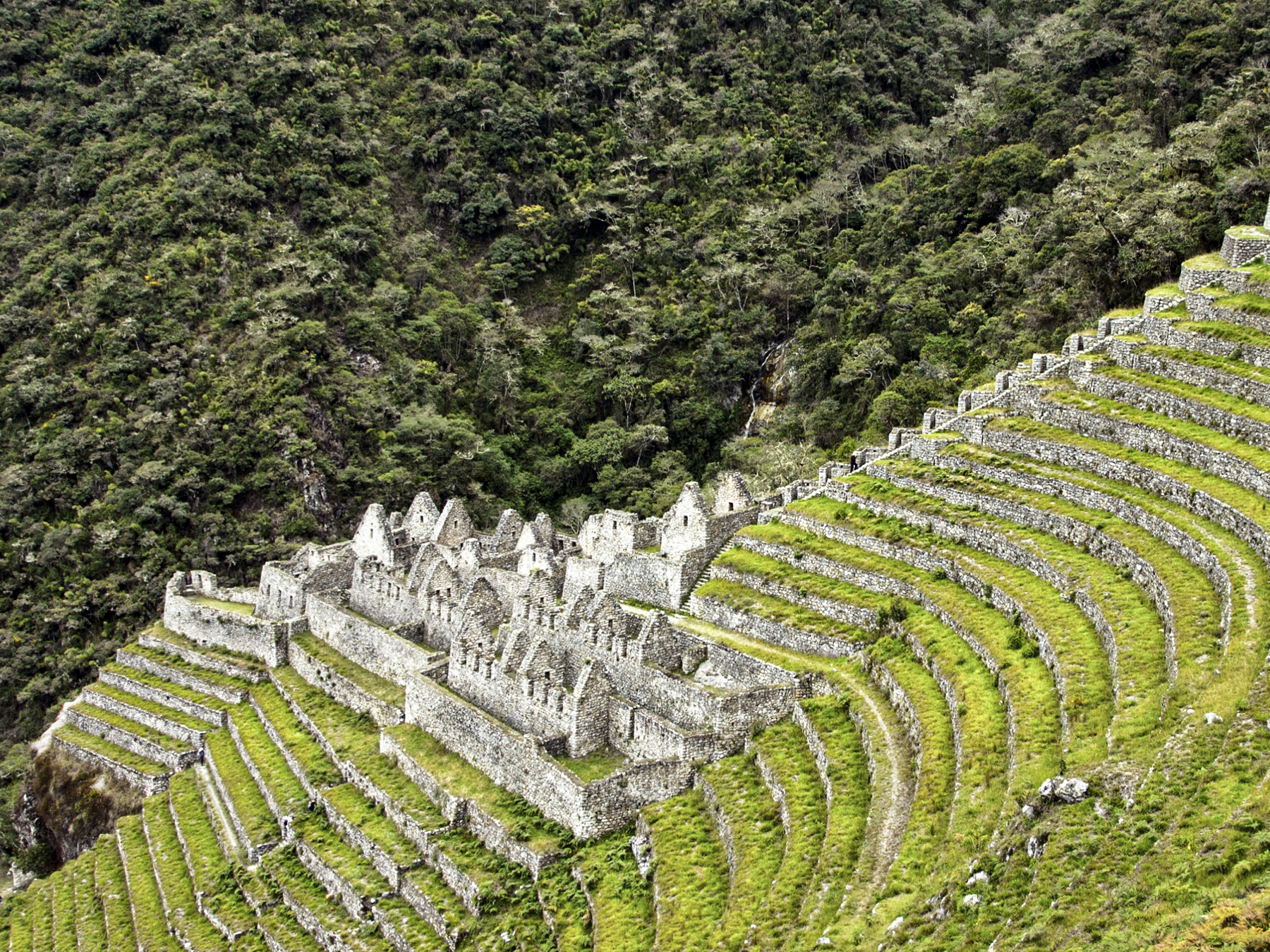 Machu Picchu Circuit 2 agricultural terraces and Inca ruins