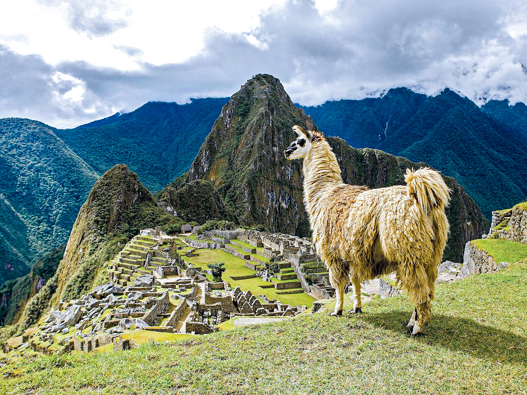 Panoramic viewpoint at Machu Picchu Circuit 2