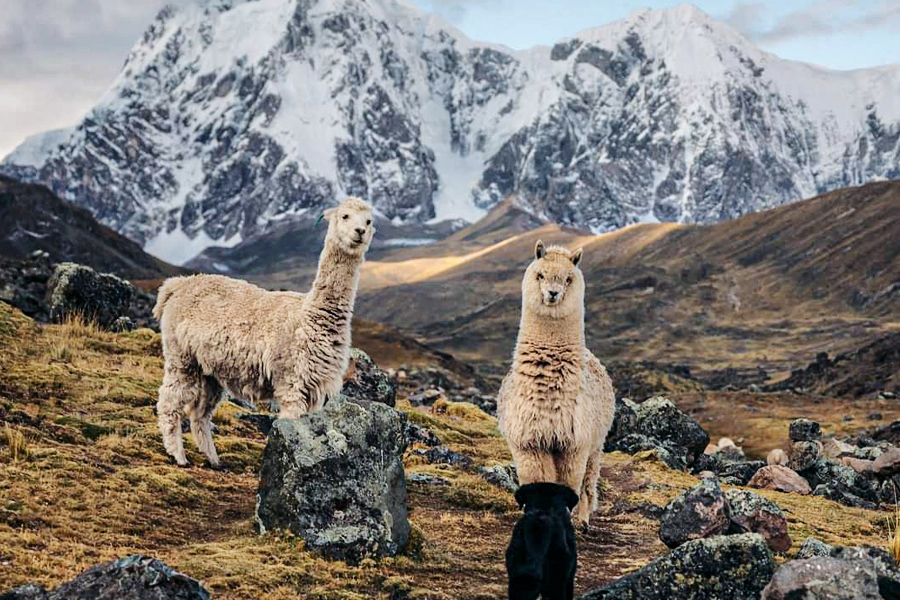 7 Ausangate Lakes trekking tour Cusco
